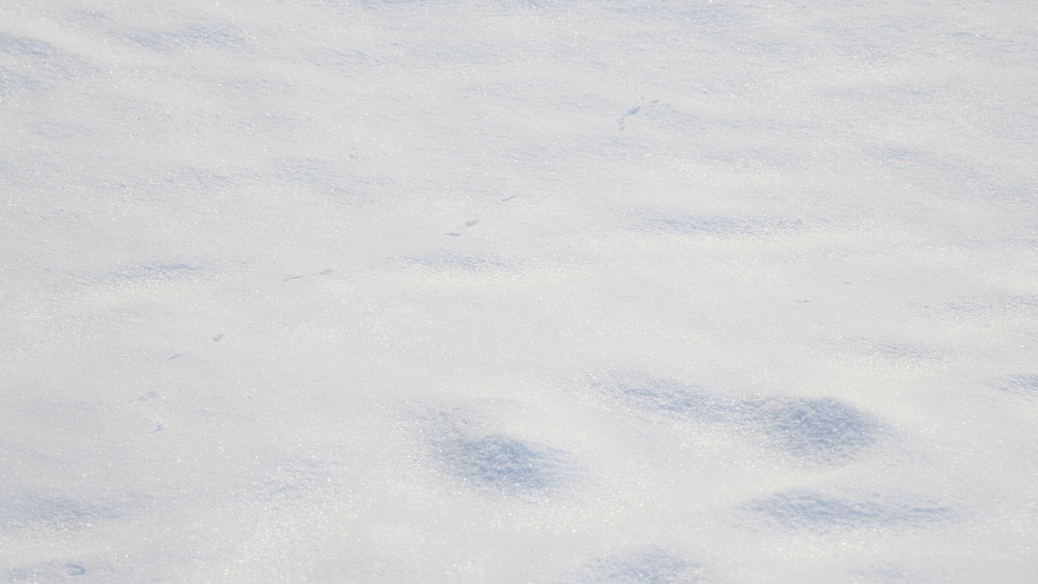 clean-white-snow-ground.jpg