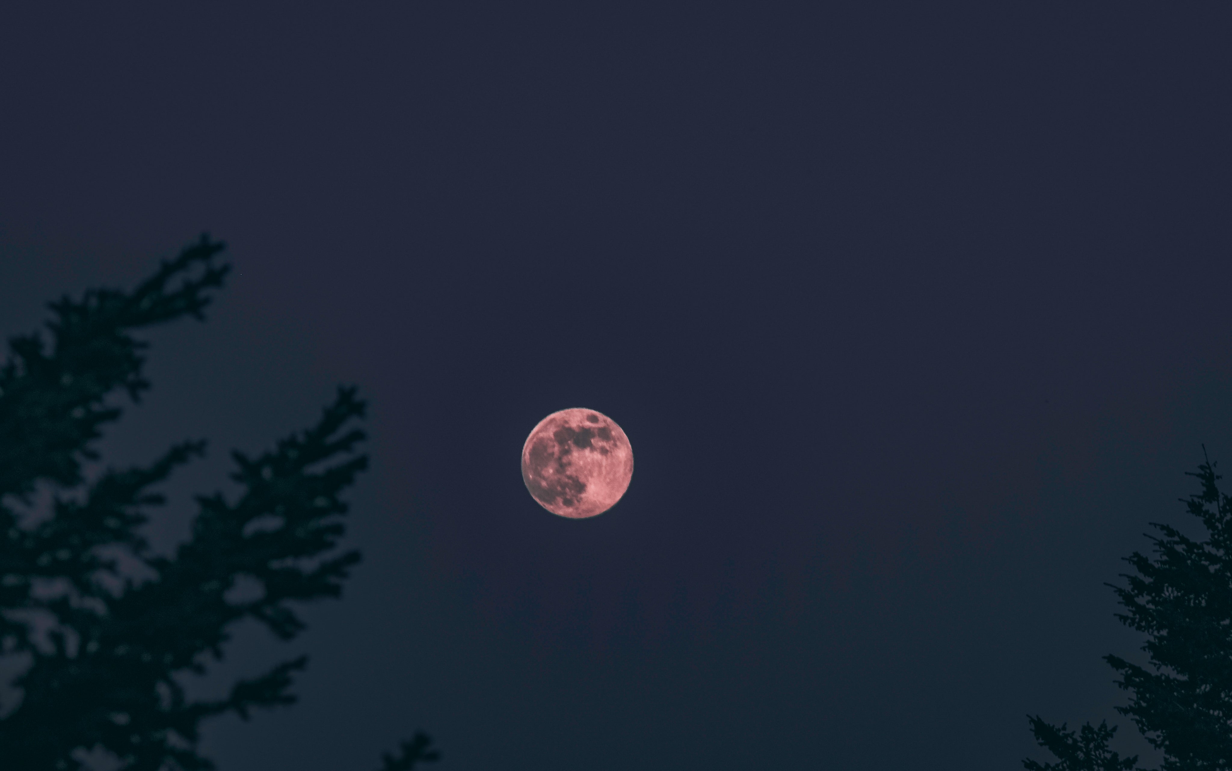 harvest-moon-in-night-sky.jpg