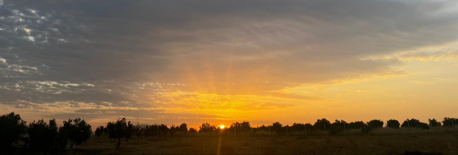jupiter-sunrise.jpg