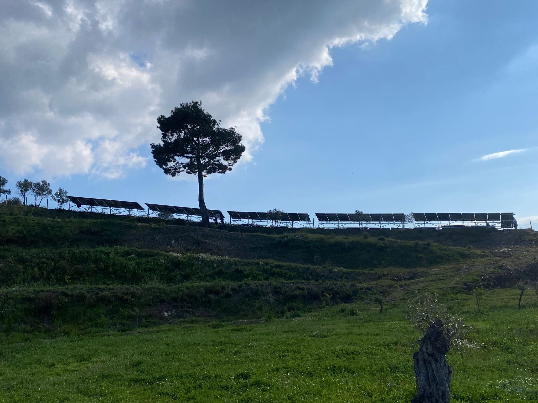 offgrid.jpg